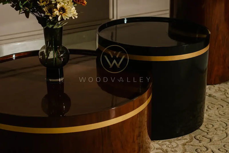 Brass Line Center Table Set sofa set