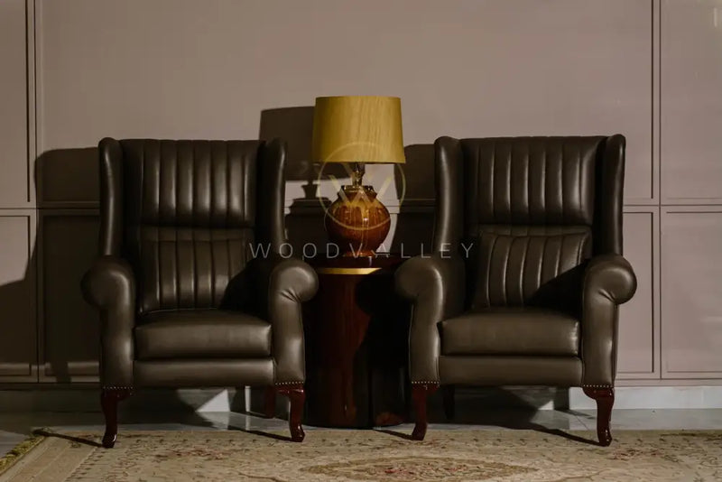 Modern Barrel Chairs bed Room Chairs